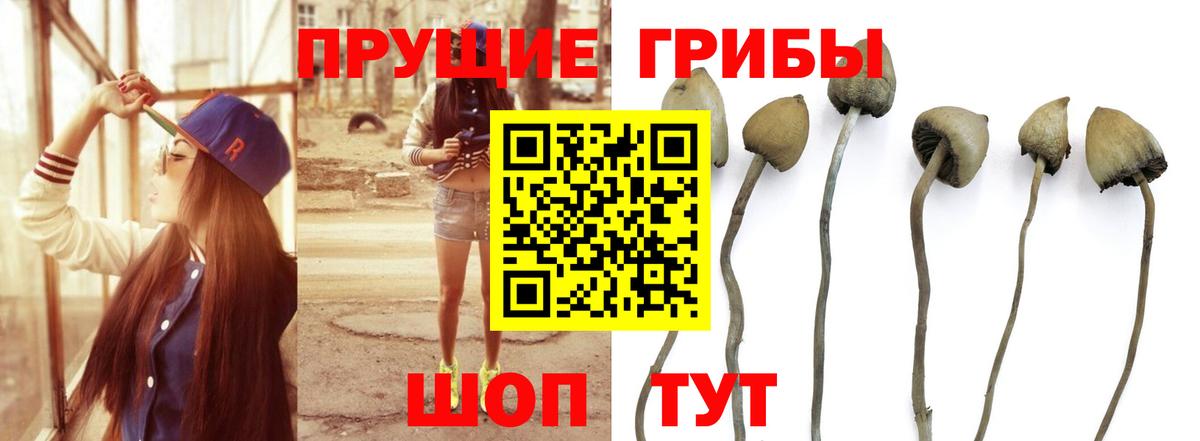 Галлюциногенные грибы мухоморы Минеральные Воды